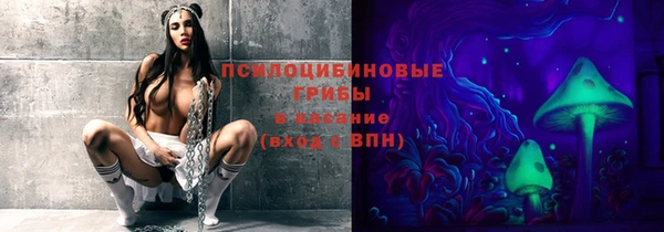 прущая мука Алзамай