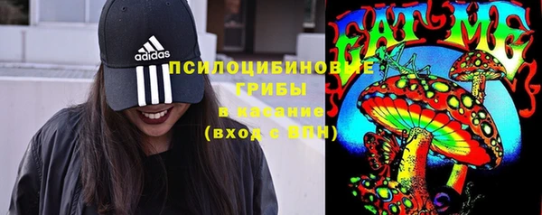 ГАЛЛЮЦИНОГЕННЫЕ ГРИБЫ Абаза