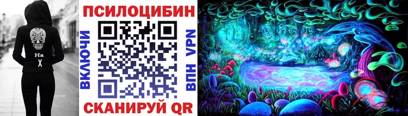 наркотики Раменское OMG Псилоцибиновые грибы MAGIC MUSHROOMS